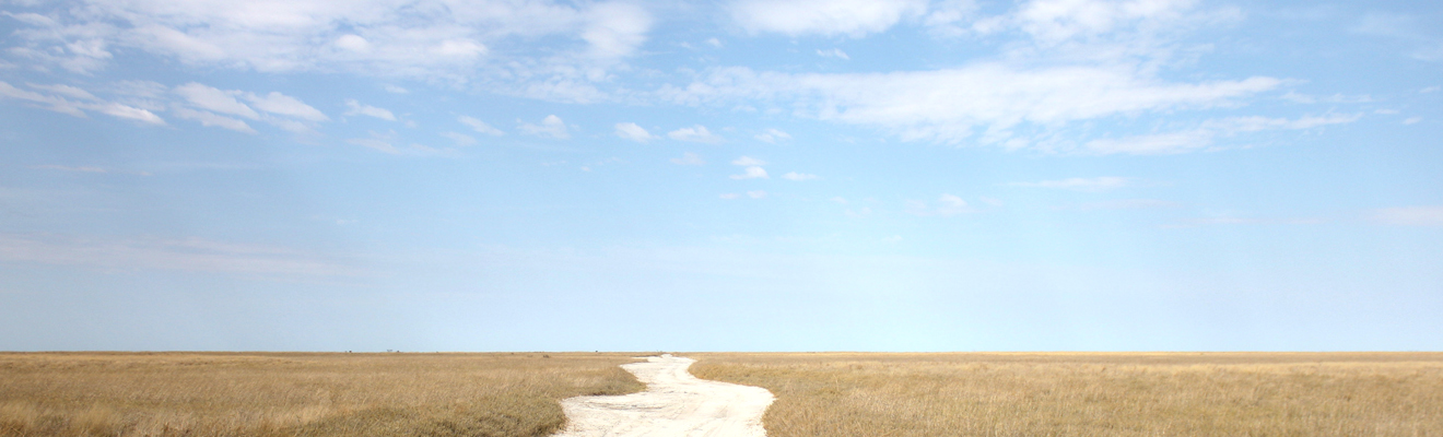 <a href='about.html'>BEST OF<br />
                <span>THE AFRICAN TOURS</span><br>
                <p ><br><br> <b>DISCOVER AFRICA</b></a></p>