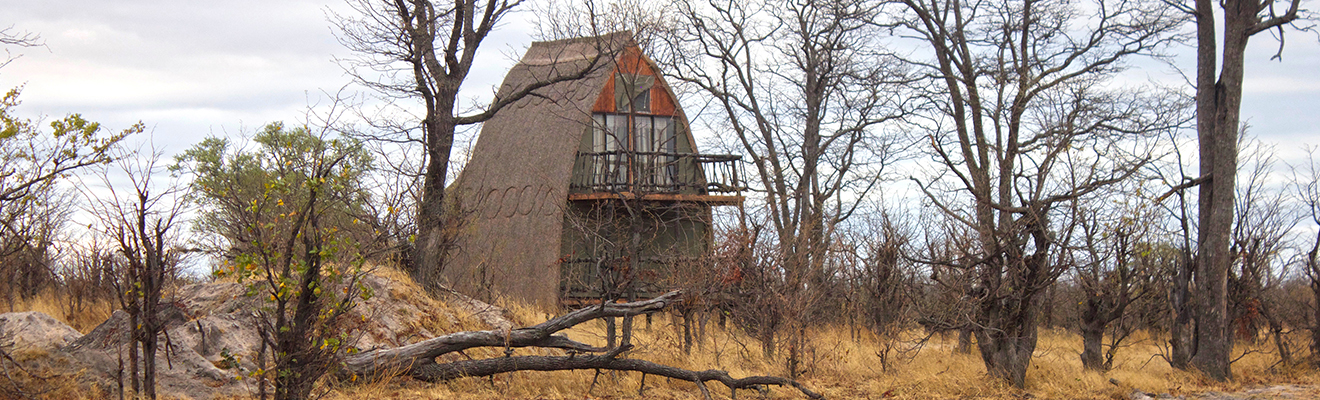 <a href='dzibanana.html'>EXPERIENCE THE BEST OF<br />
                <span>AFRICAN WILDLIFE & CAMPING</span><br>
                <p ><br><br> <b>DISCOVER DZIBANANA LODGE & CAMPING</b></a></p>